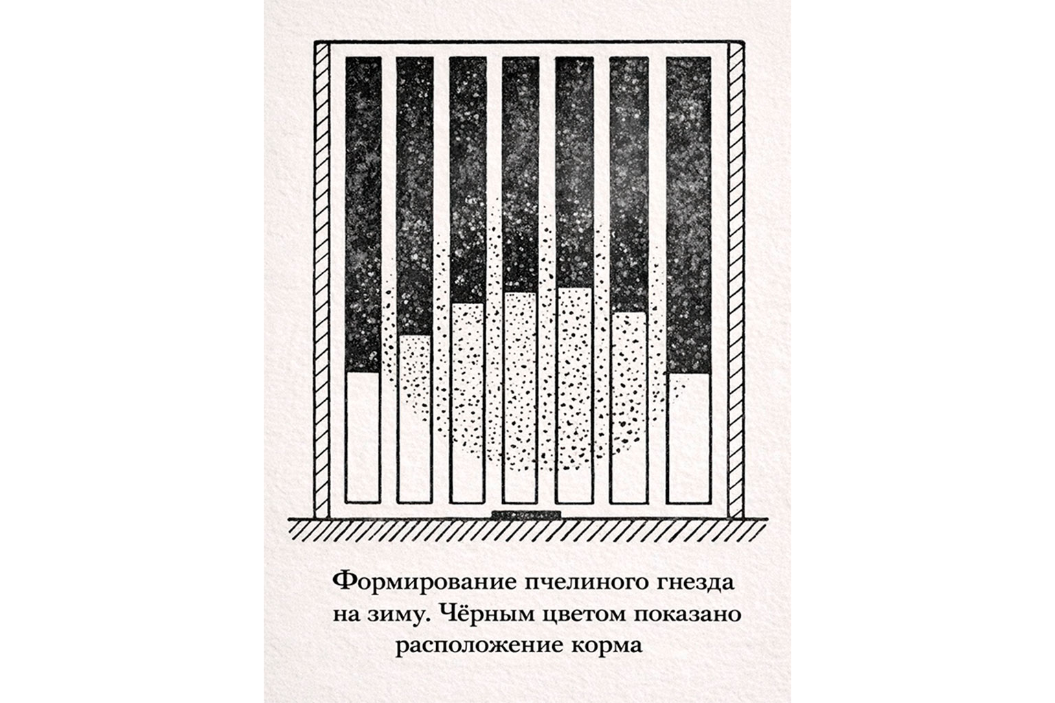 Как подготовить пчёл к зиме?